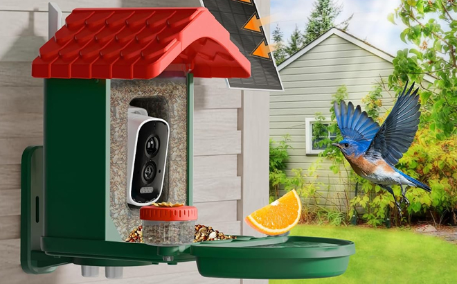 Visiogear 2 in 1 Smart Wild Bird Feeder Bath with 4K HD Camera Visiogear 2 in 1 Smart Wild Bird Feeder Bath with 4K HD Camera