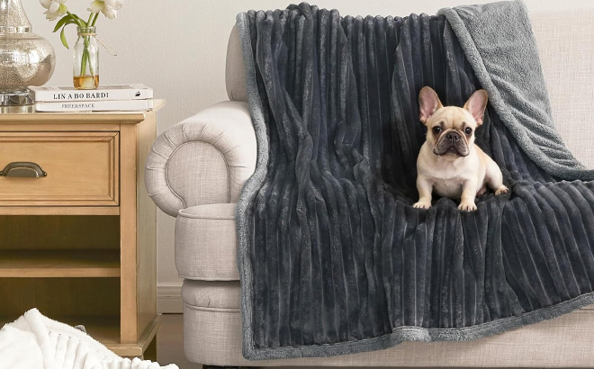 Waterproof Dog Blanket Waterproof Dog Blanket
