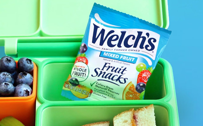 Welchs Fruit Snack Bag