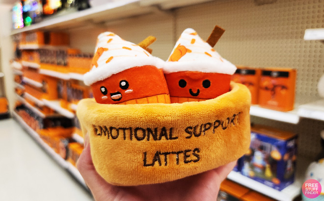 a Person Holding Emotional Support Lattes