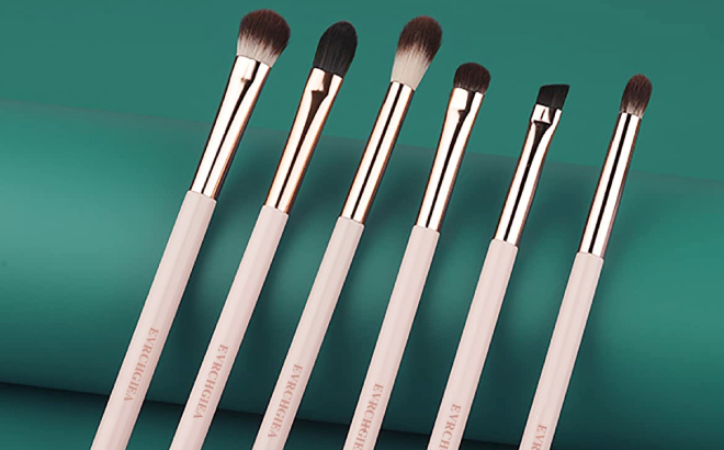 6 Piece Eye Makeup Brush Set