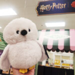 A Person Holding Harry Potter Creature Medium Plush Hedwig