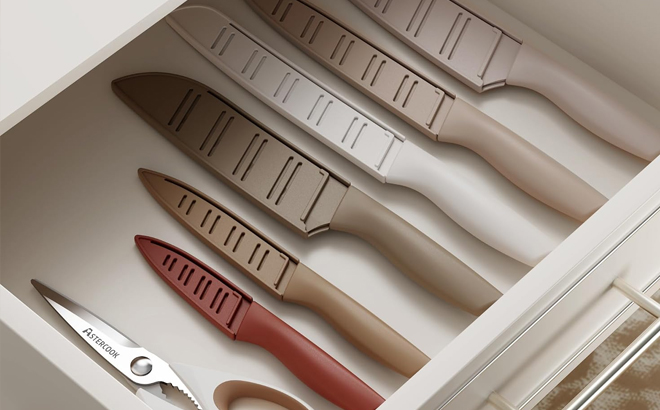 Astercook 13 Piece Stainless Steel Knife Set in a Drawer