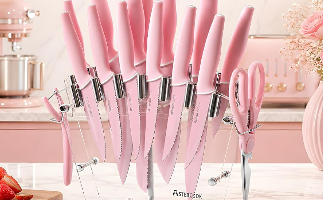 Astercook 22 Piece Kitchen Knife Set with Block and Sharpener