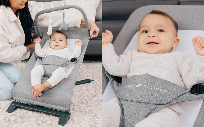 Baby Delight Portable Bouncer Baby Delight Portable Bouncer