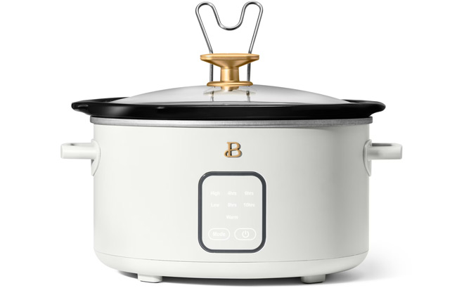 Beautiful 4 Quart Slow Cooker Bone