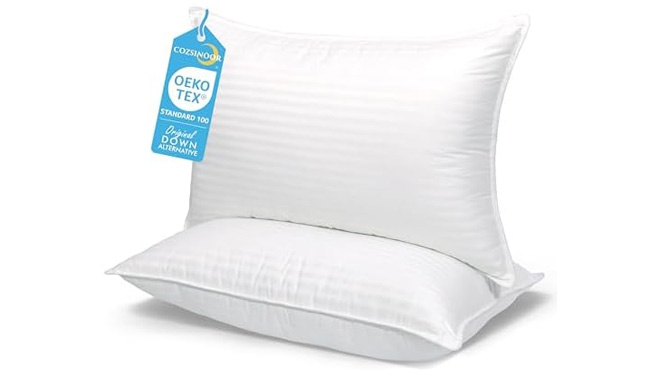 COZSINOOR Bed Pillows 2 Pack