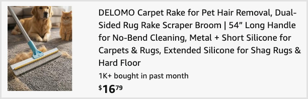 Carpet Rake Scraper Broom at Checkout Carpet Rake Scraper Broom at Checkout