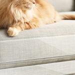 Couch Protector from Cat Claws