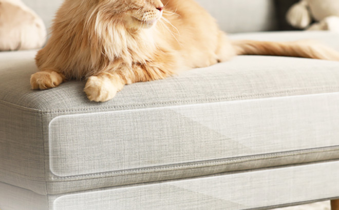 Couch Protector from Cat Claws Couch Protector from Cat Claws