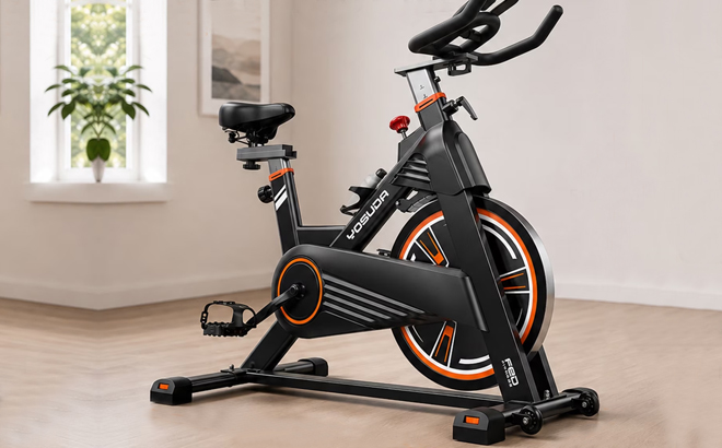 FED Fitness Magnetic Exercise Bike for Home