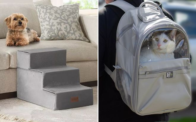 Friends Forever High Density Foam 3 Steps Pet Stairs and Pet Clear Window Backpack Carrier