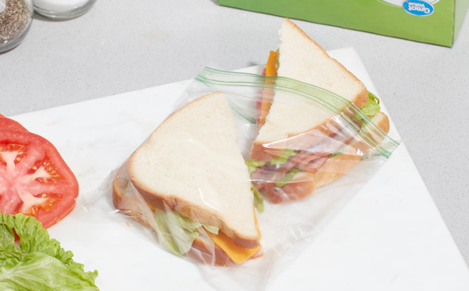 Great Value Double Zipper Sandwich Bag Great Value Double Zipper Sandwich Bag