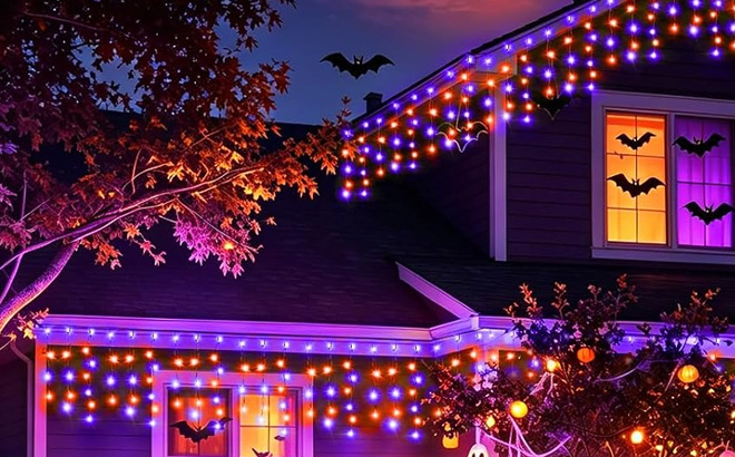 Halloween LED Lights Halloween LED Lights