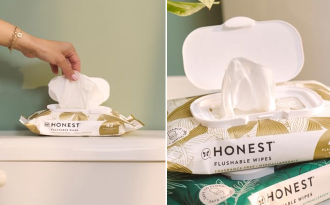 Honest Flushable Wipes 126 Count Honest Flushable Wipes 126 Count