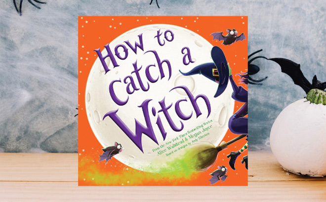 How to Catch a Witch A Halloween Picture Book 1