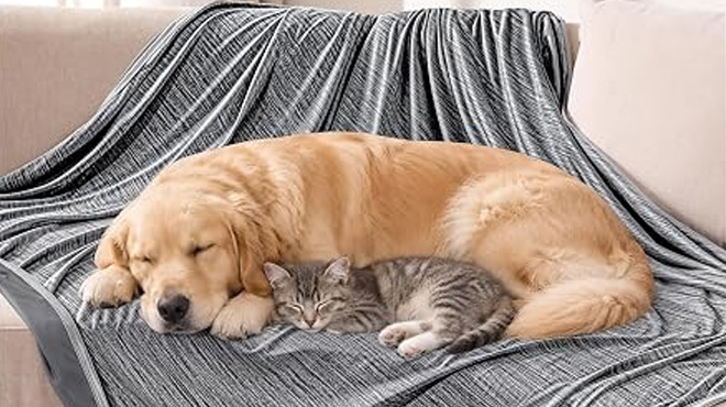 KMUSET Cooling Blanket
