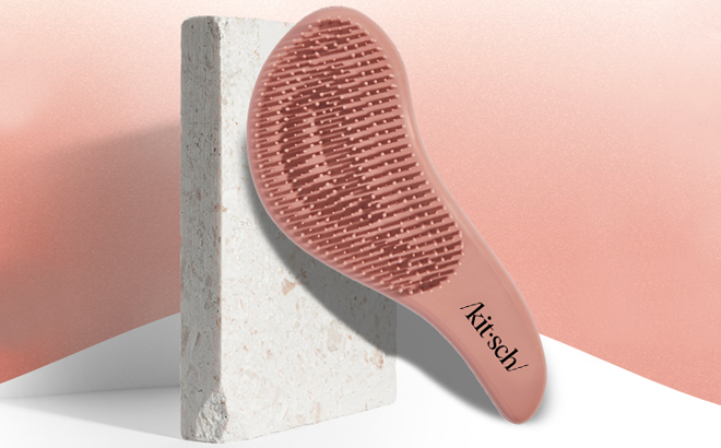 Kitsch Detangler Brush in Terracotta