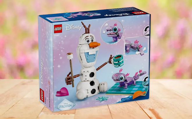 LEGO Disney Frozen Olaf and Brunis Picnic Fun Set on a Table