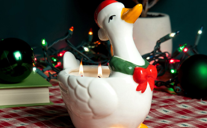 Mainstays 2 Wick Goose Ceramic Candle Mainstays 2 Wick Goose Ceramic Candle