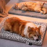 Mora Self Warming Pet Beds