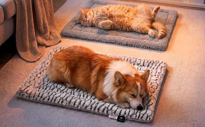 Mora Self Warming Pet Beds Mora Self Warming Pet Beds