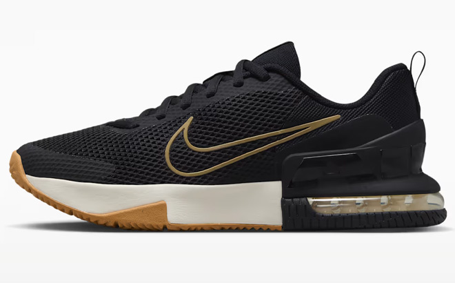 Nike Air Max Alpha Trainer 6 Mens Workout Shoe Nike Air Max Alpha Trainer 6 Mens Workout Shoe
