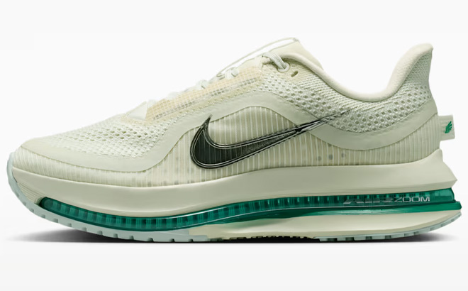 Nike Pegasus Premium Womens Road Running Shoe
