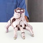 Robo Alive Horror Running Hand