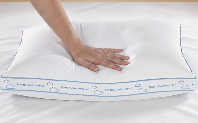 Sertapedic Balanced Support Bed Pillow Sertapedic Balanced Support Bed Pillow