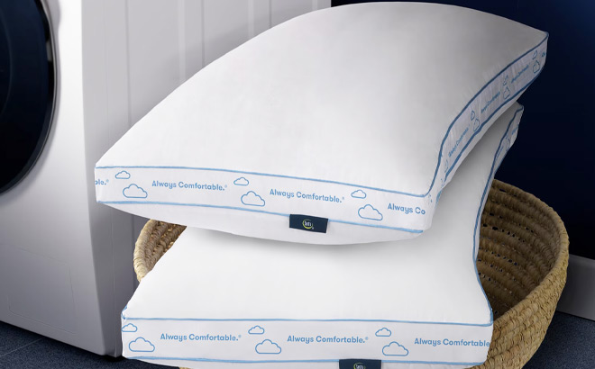 Sertapedic Balanced Support Standard Bed Pillows Sertapedic Balanced Support Standard Bed Pillows