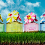 Various Scents of the Marc Jacobs Daisy Eau De Parfum