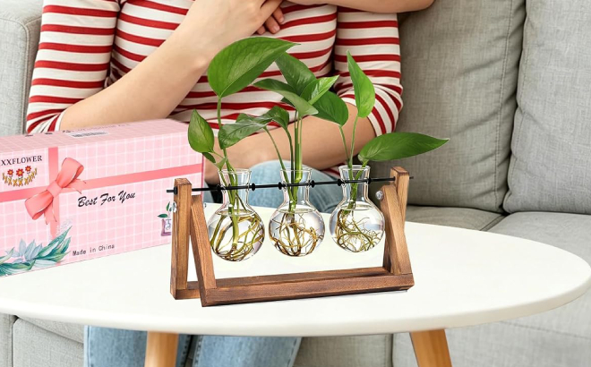 XxxFlower Plant Terrarium with Wooden Stand XxxFlower Plant Terrarium with Wooden Stand