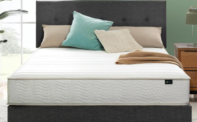 Zinus 8 Inch Foam and Spring Hybrid Mattress Zinus 8 Inch Foam and Spring Hybrid Mattress