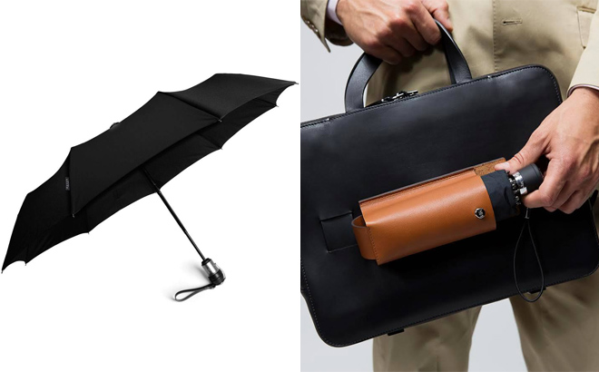 Two Photos of Davek Umbrellas